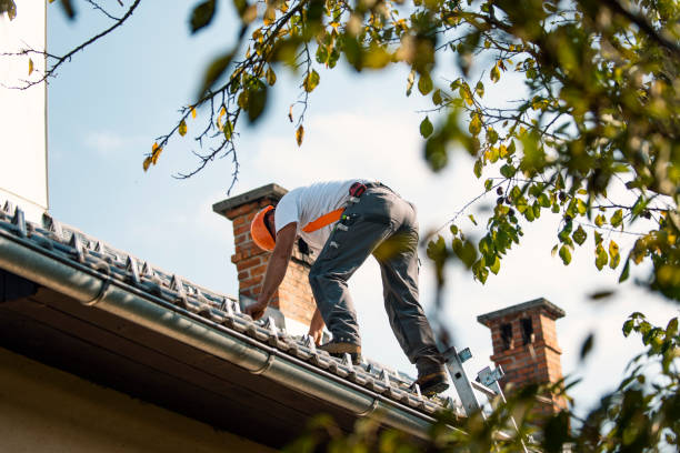 Best Roofing Contractor Near Me  in Deshler, OH